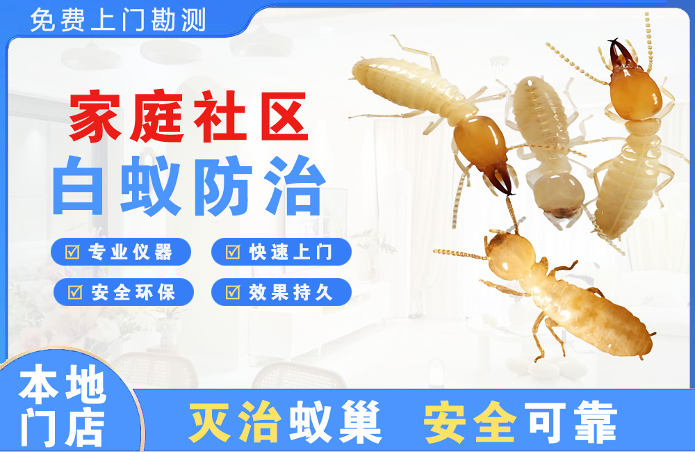 防城港家庭社区白蚁防治