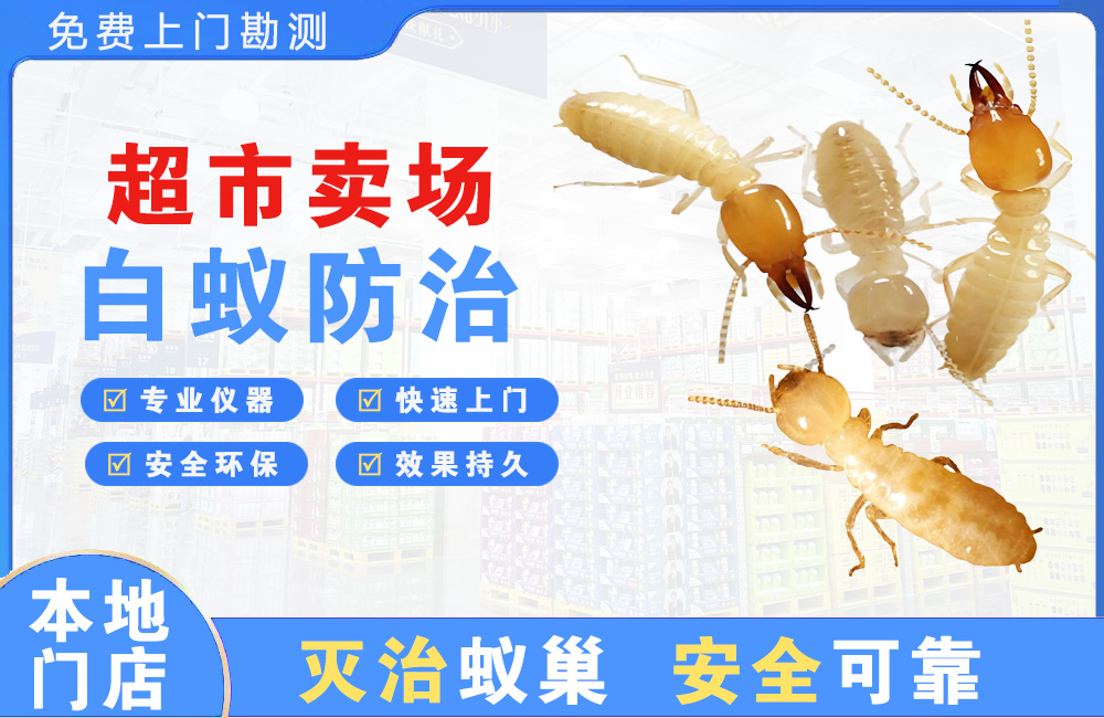 防城港超市卖场白蚁防治
