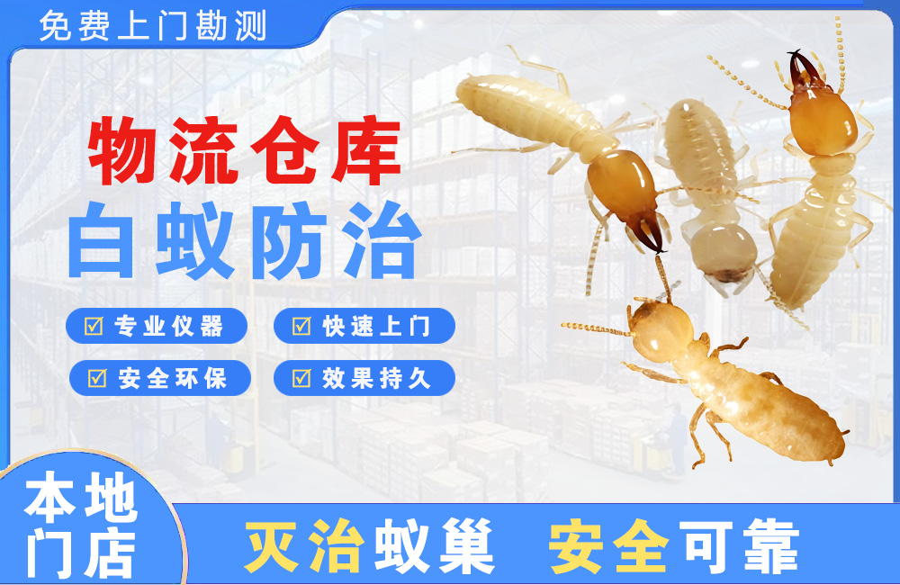 防城港物流仓库白蚁防治