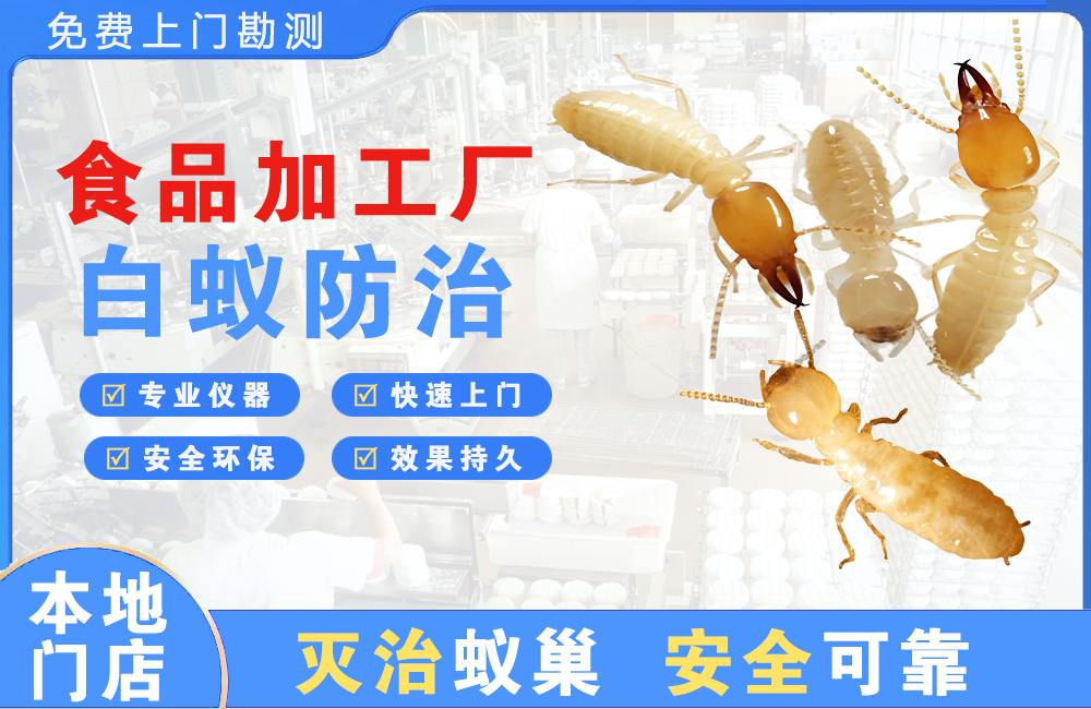 防城港食品加工厂白蚁防治