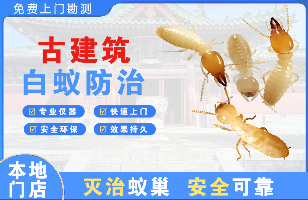防城港古建筑白蚁防治