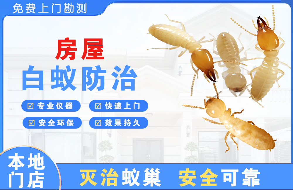 防城港房屋白蚁防治