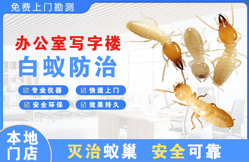 防城港办公室写字楼白蚁防治