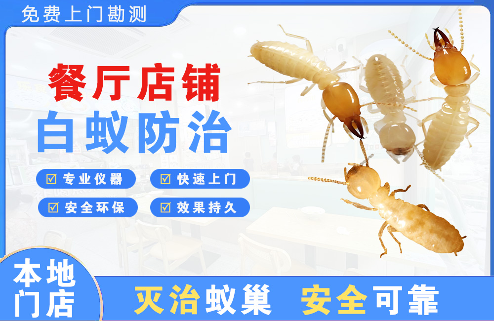 防城港餐厅店铺白蚁防治